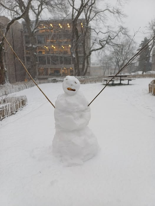 With open arms, the entire AISU team wishes you a wonderful year 2026!